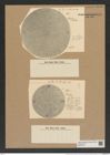 Aulacodiscus cellulosus Grove et Sturt. (de-Toni-Nr.: Genus 182, Species 4511) Zeichnungen Sammlung Grunow Nr. 8081 (NHMW-BOT-W0377410)
